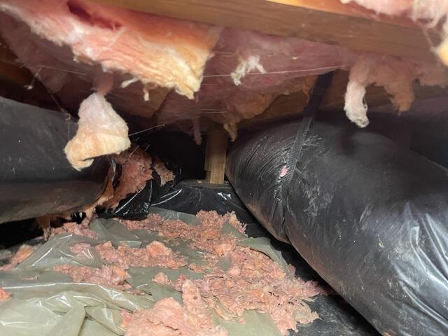 Dirty Crawl Space