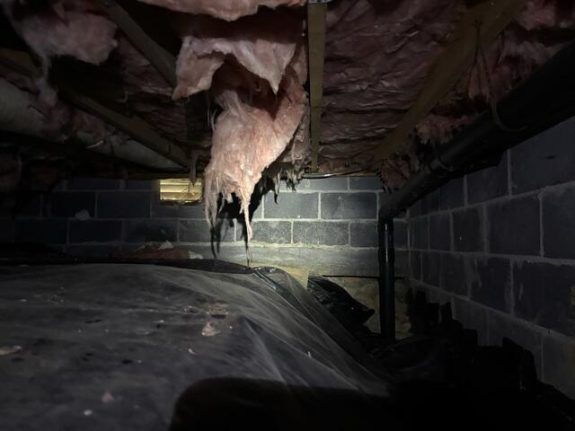 Crawl Space Before Repairs