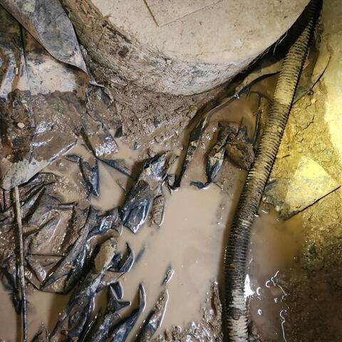Standing Water and Mud