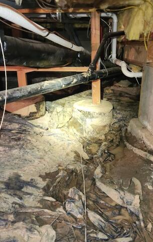 Musty Crawl Space