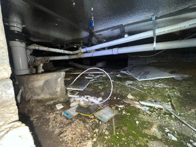 Before