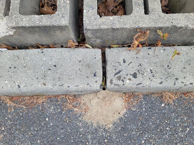 What Are They?