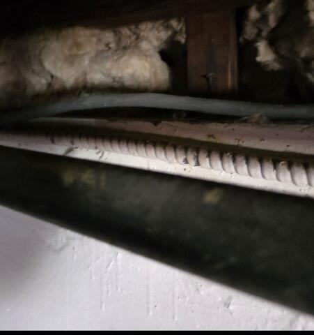 Mice Tunnels in the Basement