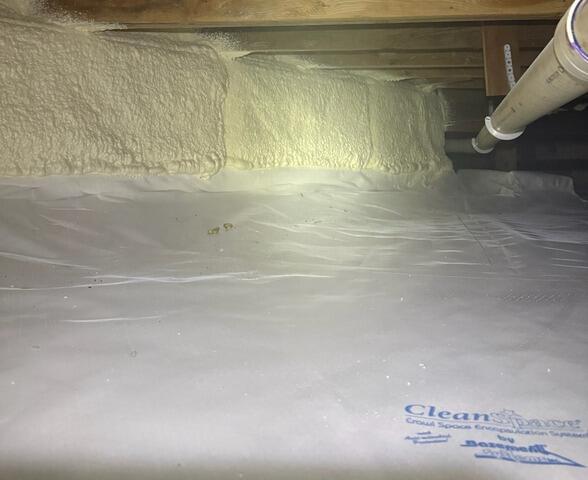 CleanSpace