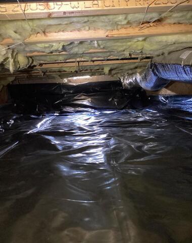 Pipe, Pump, and Plastic