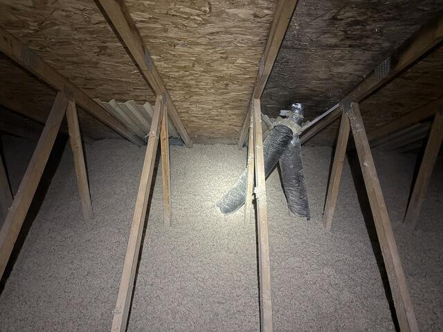Cellulose insulation