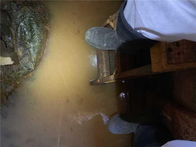 Standing Water
