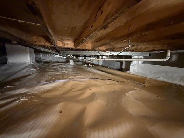 Crawl Space After