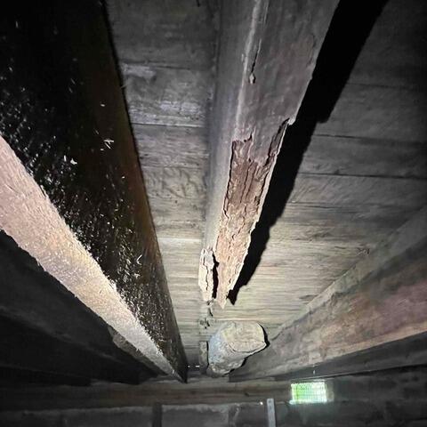 Decaying Wooden Joists