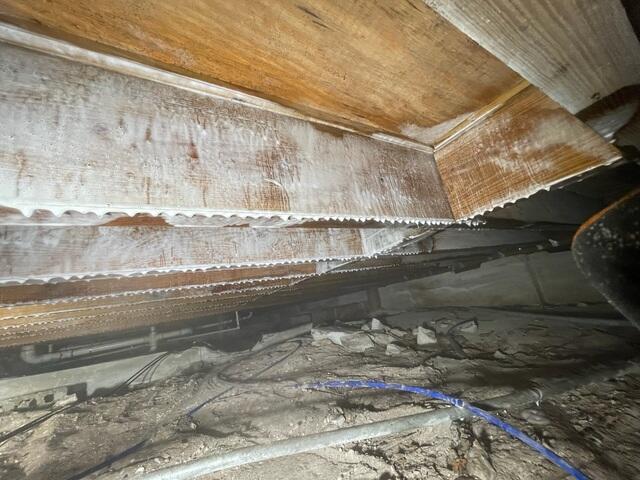 Crawl Space Mildew