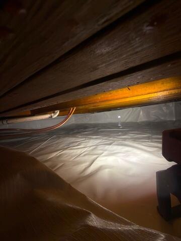 Complete Crawl Space Encapsulation