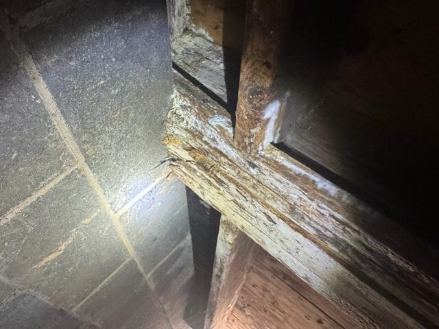Microbial Growth on Deteriorating Wooden Joists
