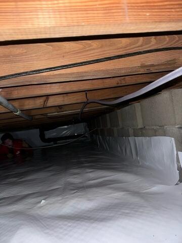 CleanSpace Moisture Barrier