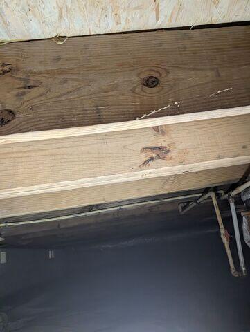 After Mold Treated