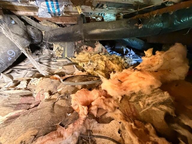 Crawl Space Before
