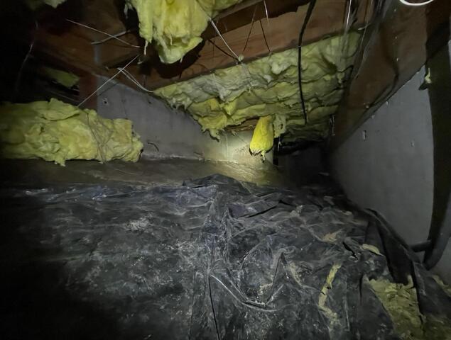 Fallen Insulation and Ripped Vapor Barrier