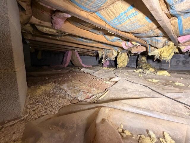 Crawl Space Before