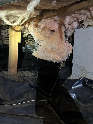 Hanging Subfloor Insulation