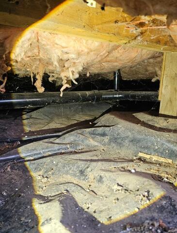 Musty, Dirty Crawl Space