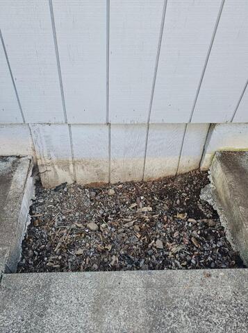 Old Crawl Space Entry Door