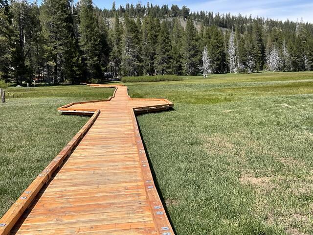 The boardwalk over the meadow