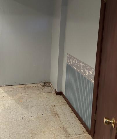 Don't Ignore the Early Signs of Basement Water Damage
