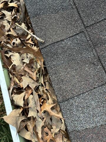 Gutters need protection