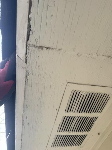 Damage to Fascia & Soffit