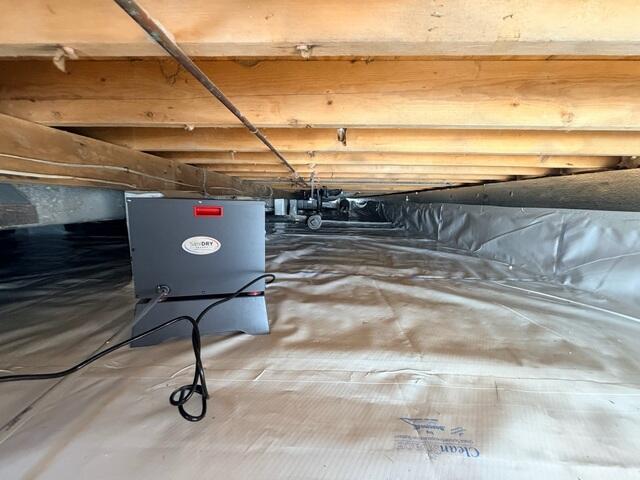 Dehumidifier