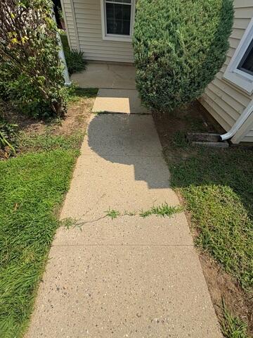 Cracked Sidewalk