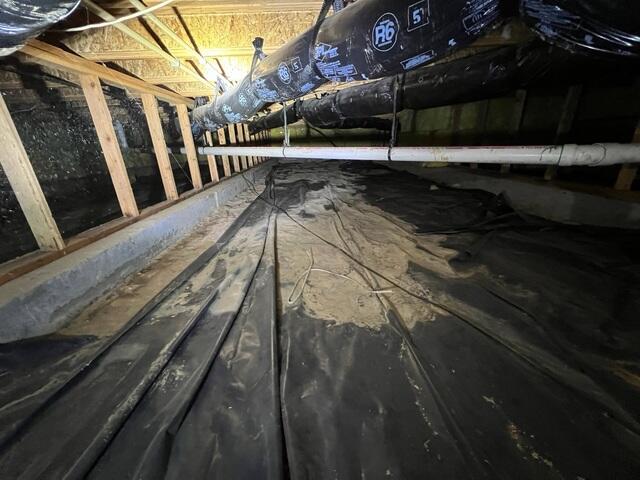 Nasty Crawl Space