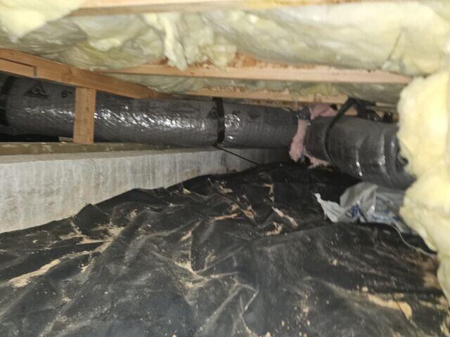 Damp, Musty Crawl Space