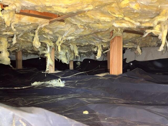 Drooping Fiberglass