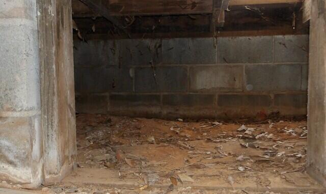 Moisture left its mark on the concrete walls of the crawl space, effervescense.