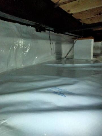 CleanSpace