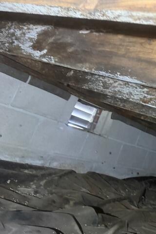Mold on Wood Floor Joists