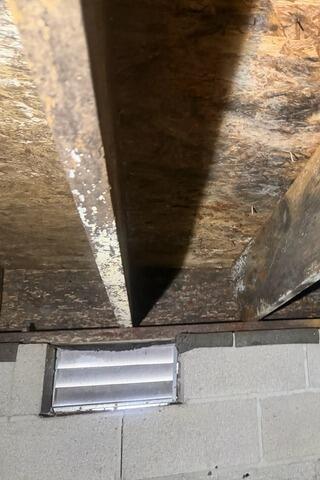 Mold Problem