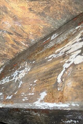 Should I worry about mold in my crawl space?
