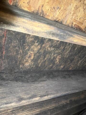 More Mold Issues