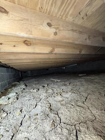Mold Gone
