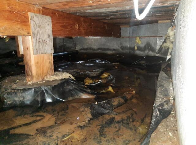 Water Damage