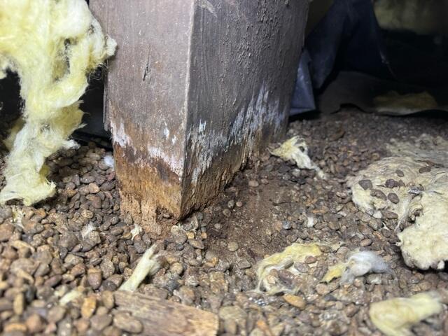 Rotten Subfloor Pier