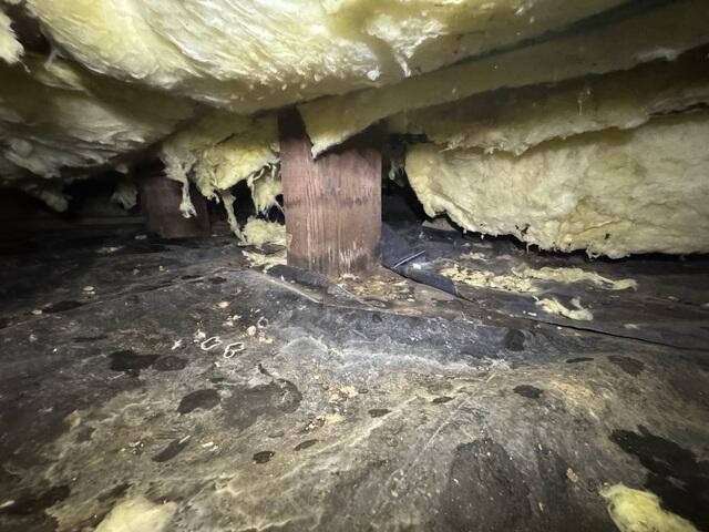 Hanging and Fallen Subfloor Insulation