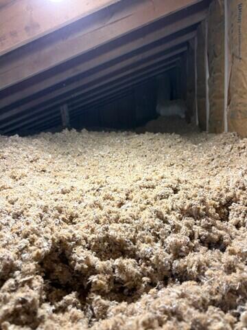 Cellulose Insulation