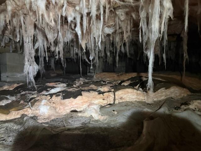Nasty Crawl Space Plagued by Humidity