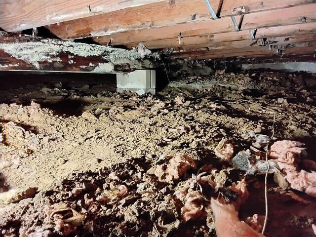 Dirt and Insulation That Fell Apart