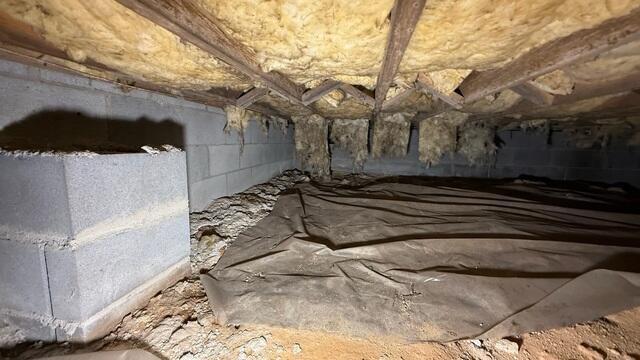 Crawl Space Before
