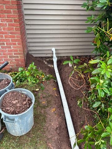Discharge Line