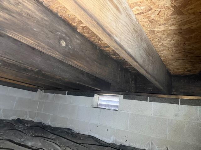 Crawl Space During Inspection