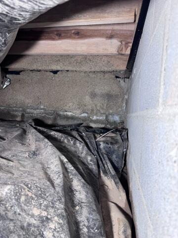 Efflorescence on Crawl Space Wall